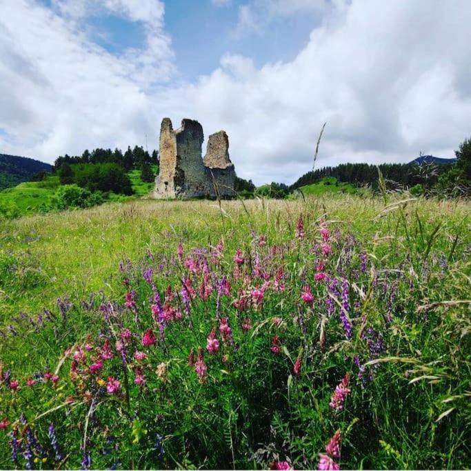 Gite L'Enclos O Rendez-Vous Roquefeuil-Pays De Sault- Avec Jardin Экстерьер фото