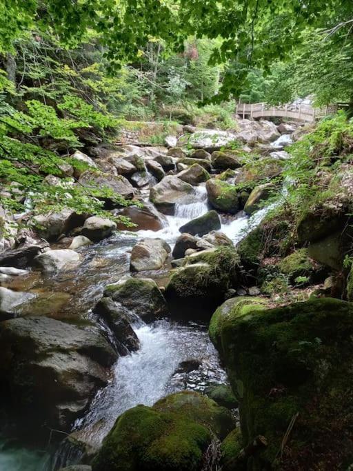 Gite L'Enclos O Rendez-Vous Roquefeuil-Pays De Sault- Avec Jardin Экстерьер фото